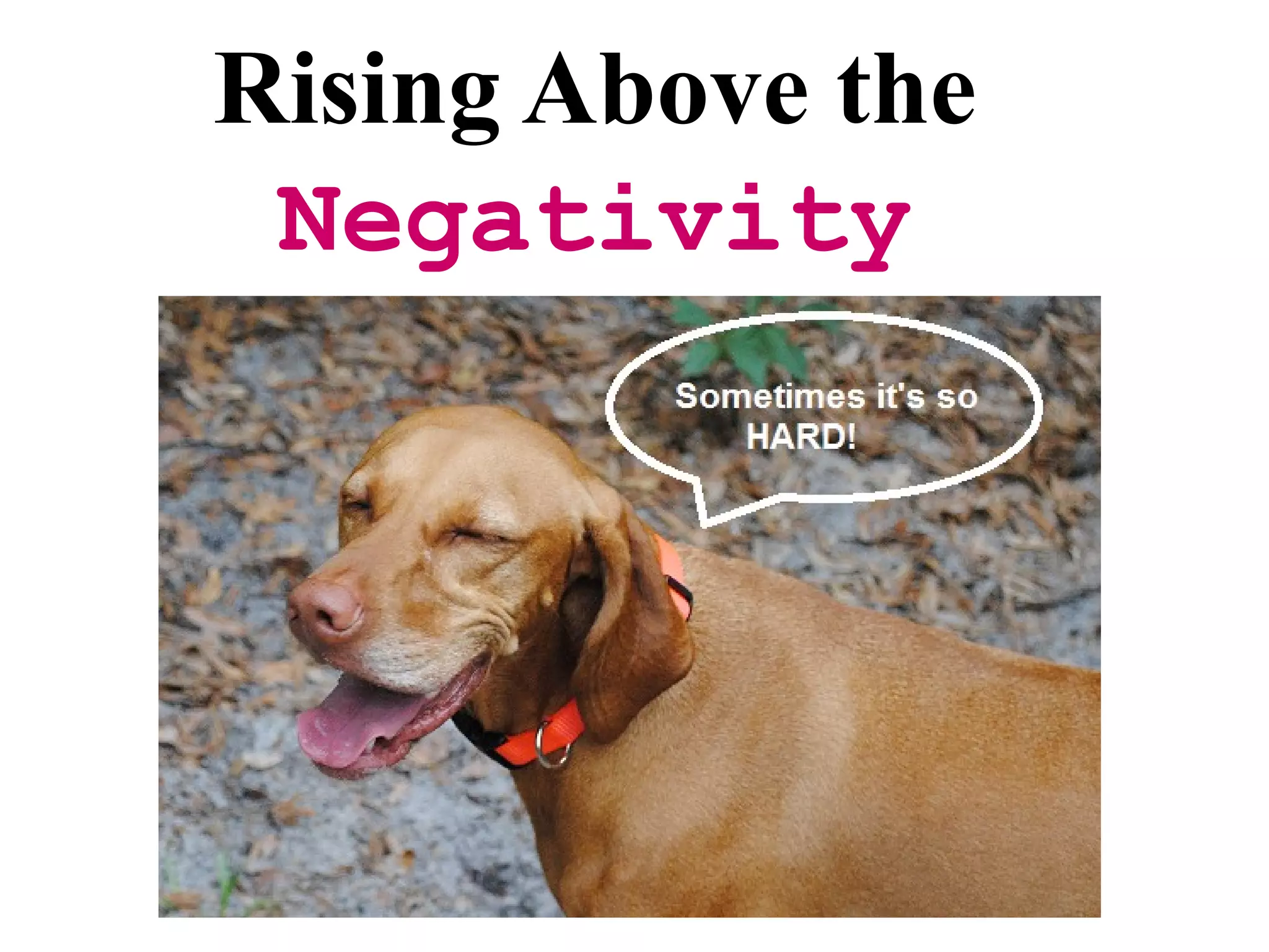 Rising Above the
 Negativity
 