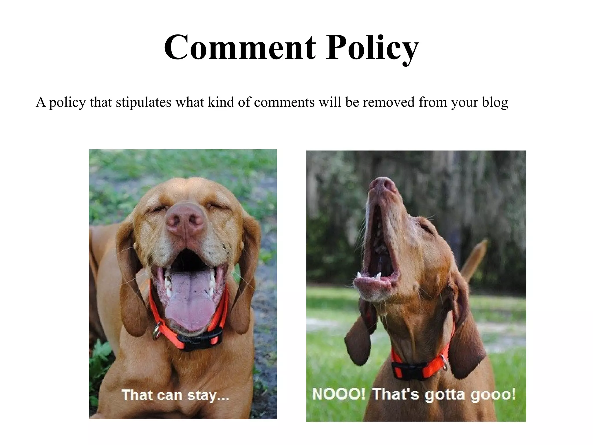 Comment Policy
A policy that stipulates what kind of comments will be removed from your blog
 