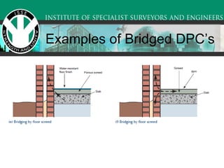 Examples of Bridged DPC’s 