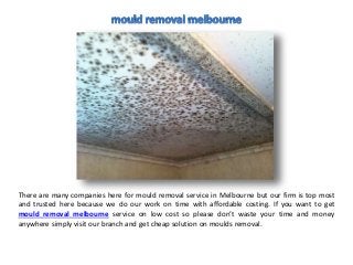 There are many companies here for mould removal service in Melbourne but our firm is top most
and trusted here because we do our work on time with affordable costing. If you want to get
mould removal melbourne service on low cost so please don’t waste your time and money
anywhere simply visit our branch and get cheap solution on moulds removal.
 