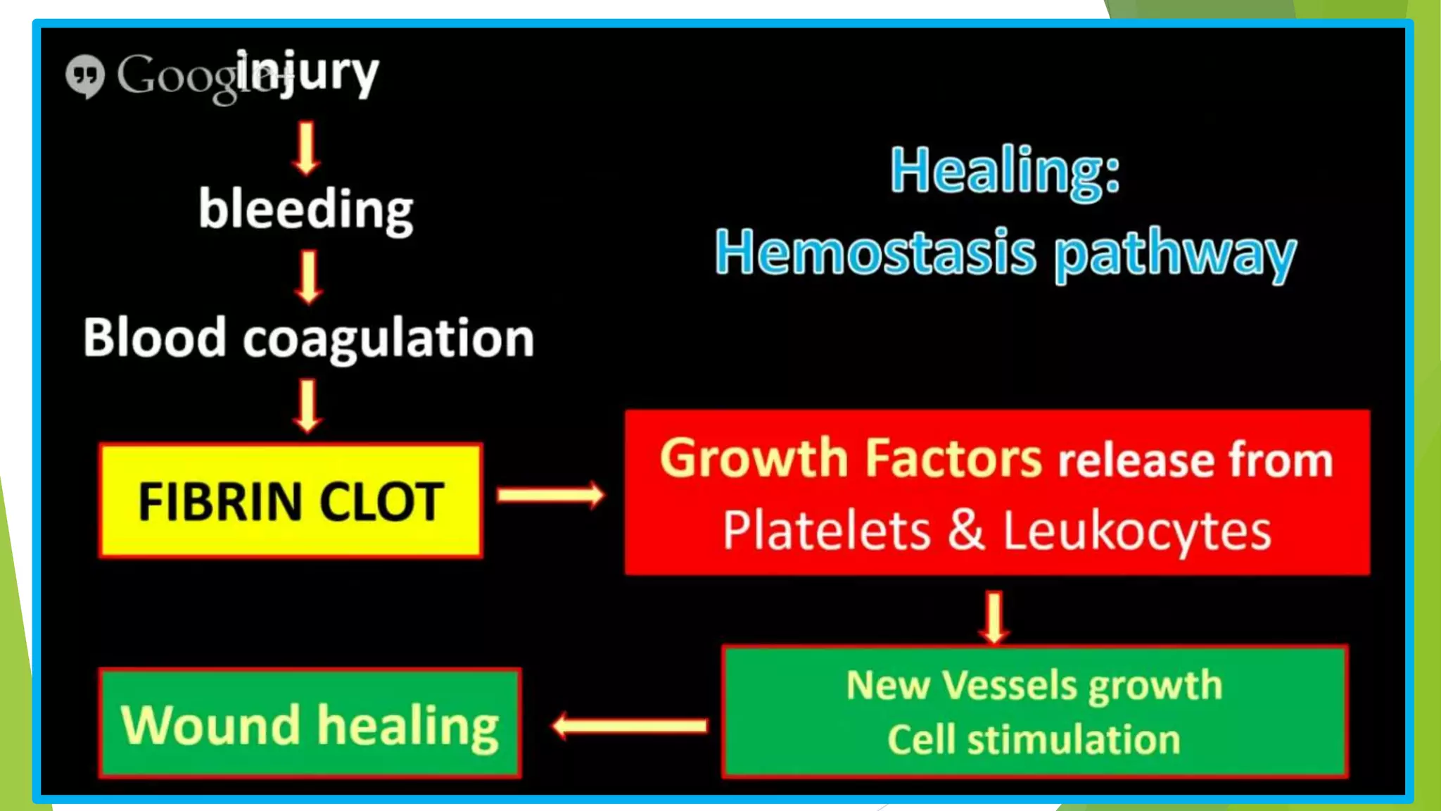 Platelet Rich Fibrin | PPTX