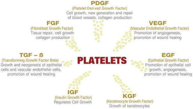 Platelet Rich Fibrin (PRF) | PPTX