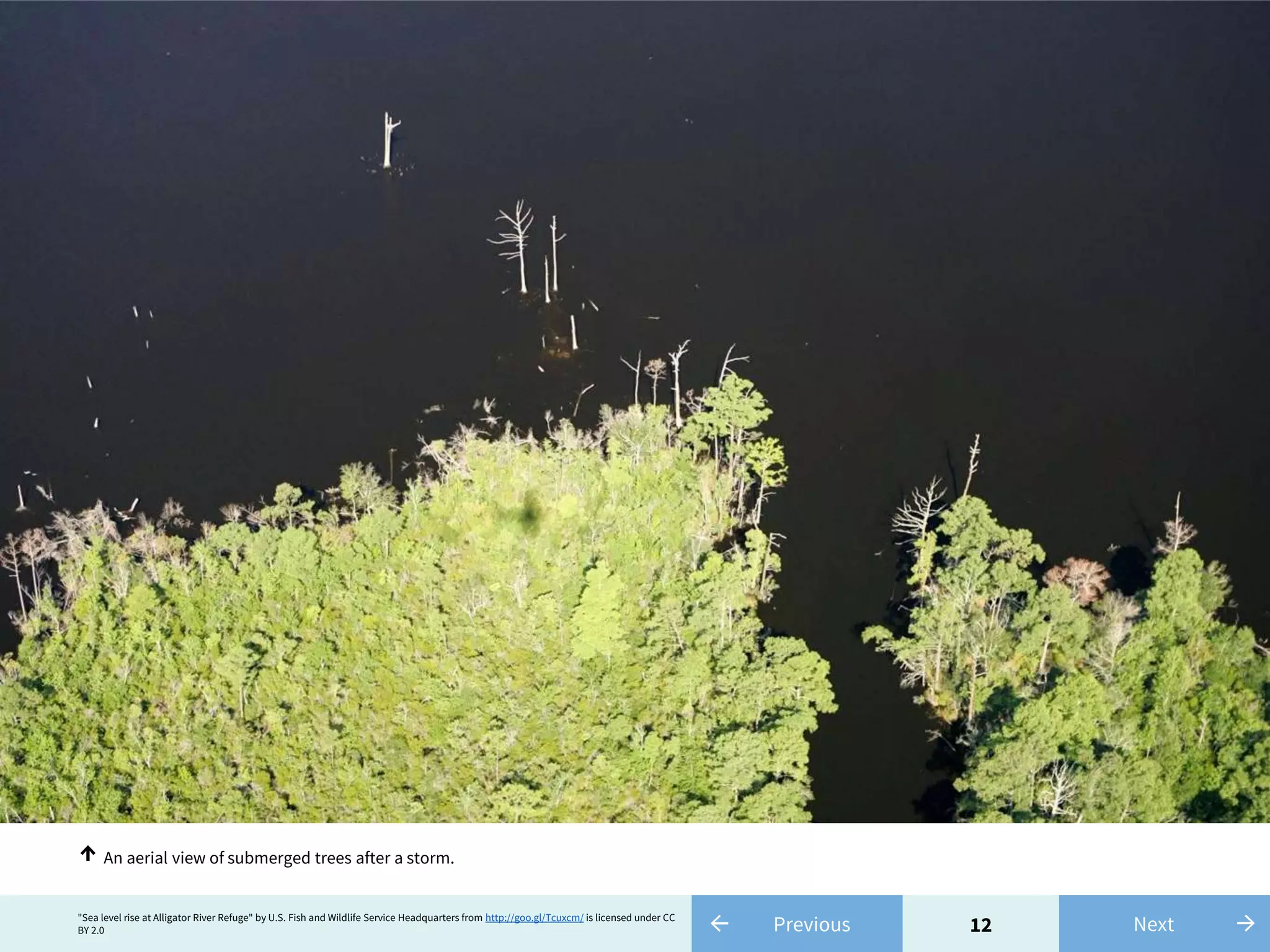 12← Previous"Sea level rise at Alligator River Refuge" by U.S. Fish and Wildlife Service Headquarters from http://goo.gl/Tcuxcm/ is licensed under CC
BY 2.0 →Next
An aerial view of submerged trees after a storm.↑
 