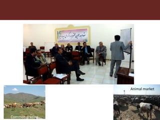 Combining risk assessment and value chain frameworks