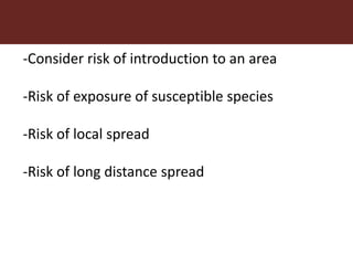 Combining risk assessment and value chain frameworks