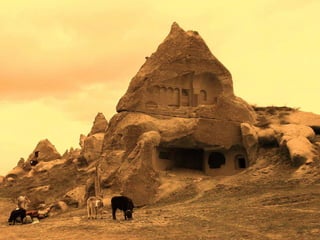 Combining risk assessment and value chain frameworks