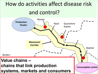 Combining risk assessment and value chain frameworks