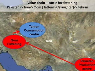 Combining risk assessment and value chain frameworks
