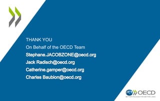 THANK YOU
On Behalf of the OECD Team
 