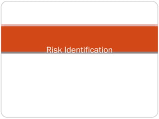 Risk Identification
 