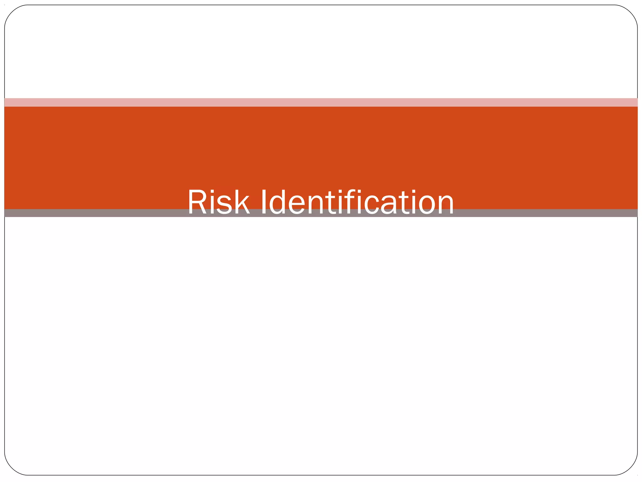 Risk Identification
 