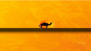 Risk returns analysis