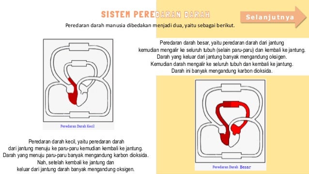 Media Pembelajaran Materi Sistem Peredaran Darah Kelas 5 Sd Media Pembelajaran Materi Sistem Peredaran Darah Kelas 5 Sd