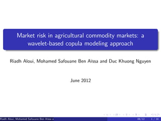 Market risk in agricultural commodity markets: a
wavelet-based copula modeling approach
Riadh Aloui, Mohamed Safouane Ben Aïssa and Duc Khuong Nguyen
June 2012
Riadh Aloui, Mohamed Safouane Ben Aïssa and Duc Khuong Nguyen () 06/12 1 / 16
 