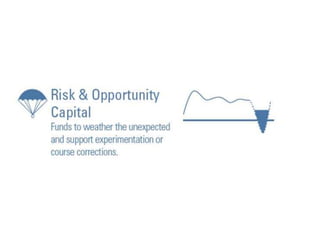 Risk and Opportunity Capital