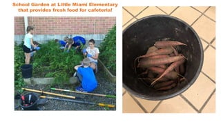 School Garden at Little Miami Elementary
that provides fresh food for cafeteria!
 