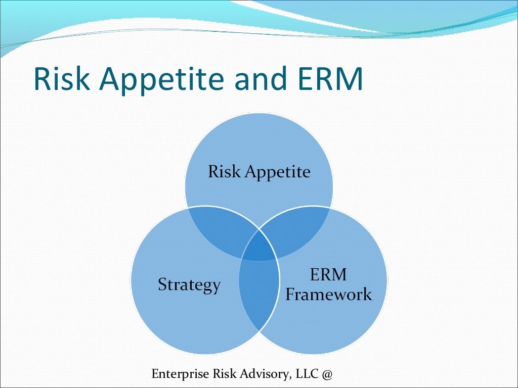 Risk Appetite