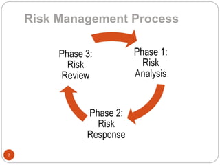 Risk Management Process 
