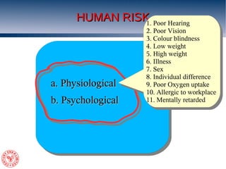 Physical Human Risk Risk assessment | PDF