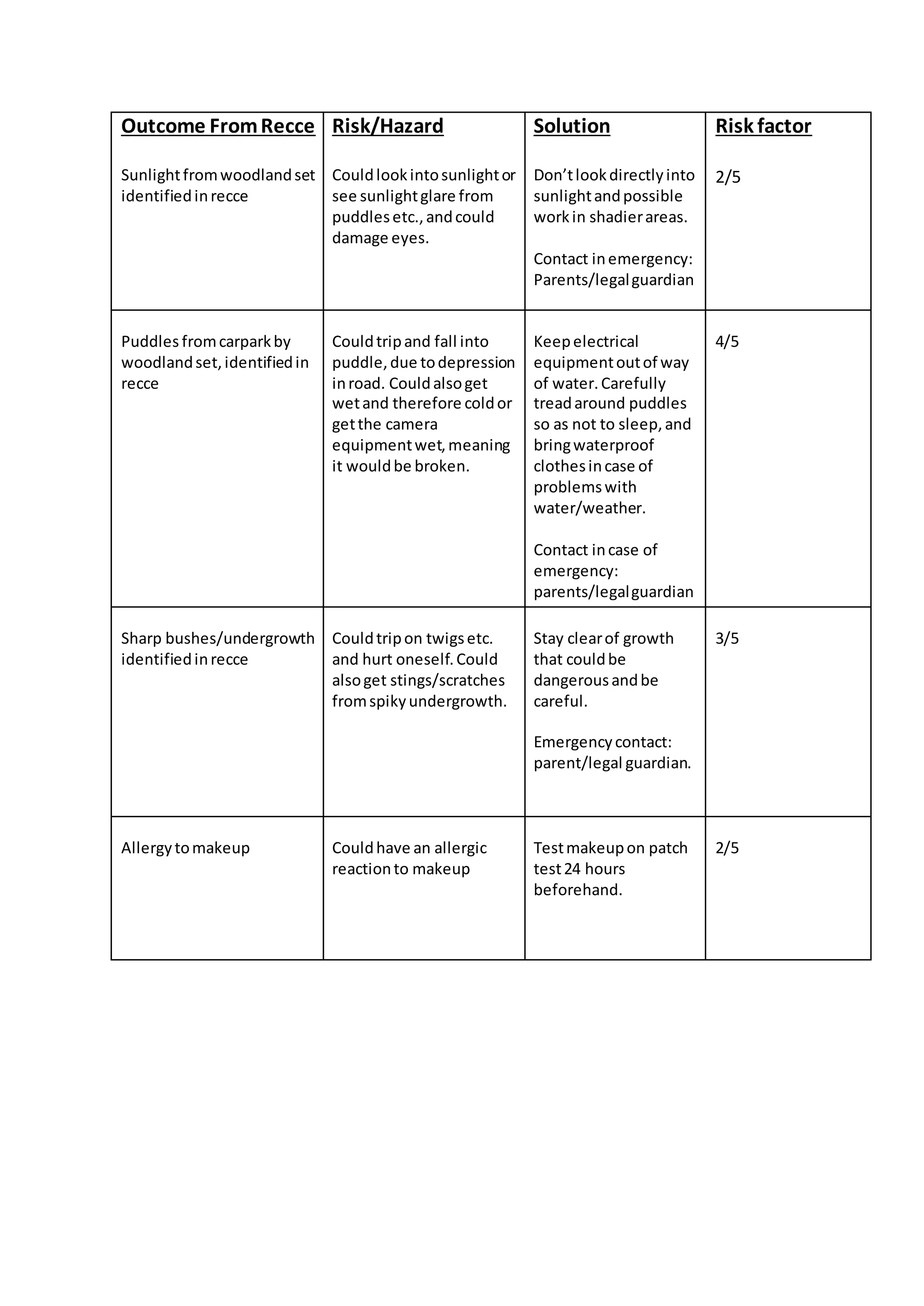 Risk assessment | DOCX