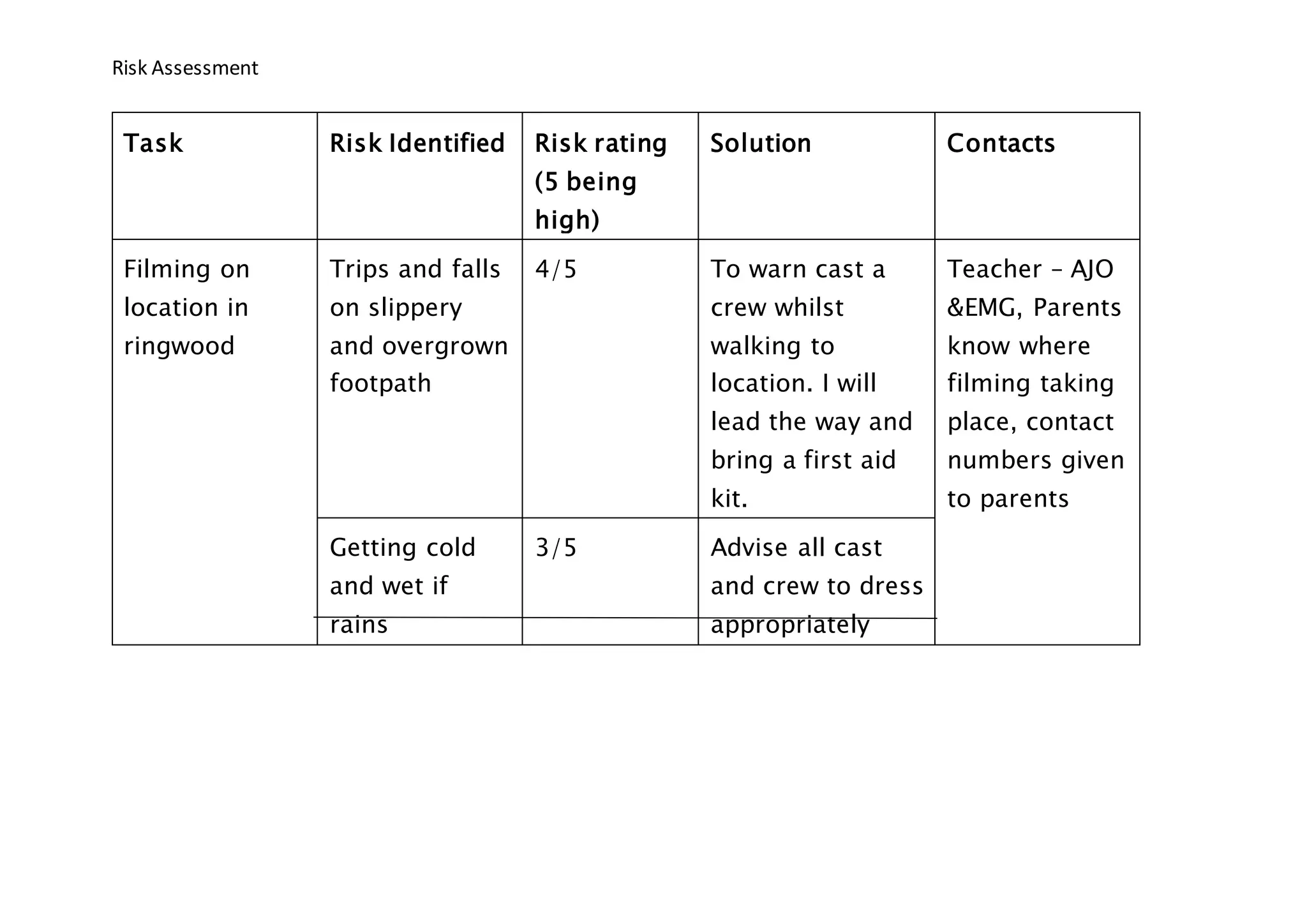 Risk assessment | DOCX