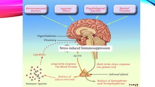 Stress induced Immunosuppression
 