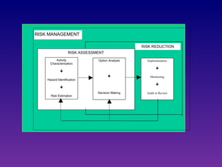 Risk assessment and management | PPT