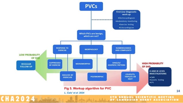 Risk Assessment and Management of PVC.pdf