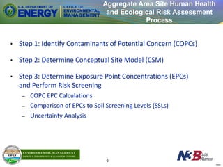 Copc Process Risk Assessment_An_Overview andTypes of Environmental Risk Assessment .pdf