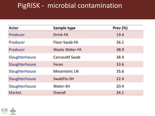 Risk assessment for food safety