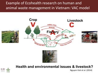 Risk assessment for food safety