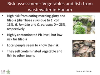 Risk assessment for food safety