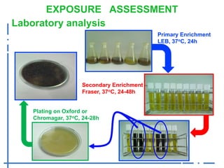 Risk assessment for Listeria monocytogenes in hot-smoked fish in informal markets in Madina, Accra