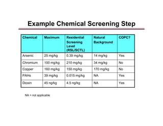 Rsl Testing Risk Assessment Presentation | PDF