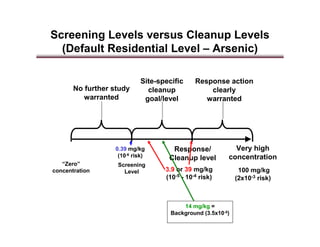 Risk Assessment Presentation | PDF