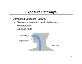 Risk Assessment Presentation | PDF