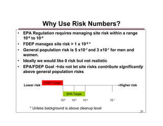 Fdep Risk Management Options Risk Assessment Presentation | PDF