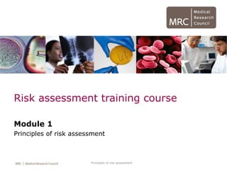 Principles of risk assessment
Risk assessment training course
Module 1
Principles of risk assessment
 