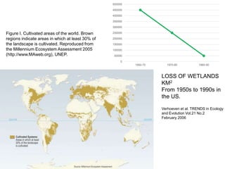 Risk assessment as a tool to improve water quality and the role of institutions of higher education