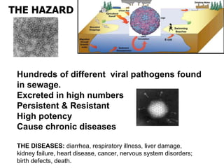 Risk assessment as a tool to improve water quality and the role of institutions of higher education