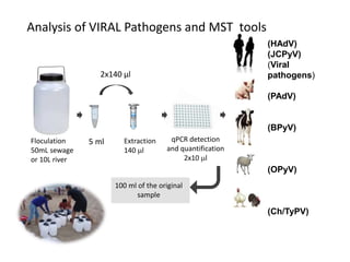 Risk assessment as a tool to improve water quality and the role of institutions of higher education