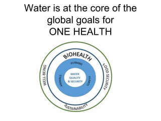 Risk assessment as a tool to improve water quality and the role of institutions of higher education