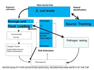 Risk assessment as a tool to improve water quality and the role of institutions of higher education