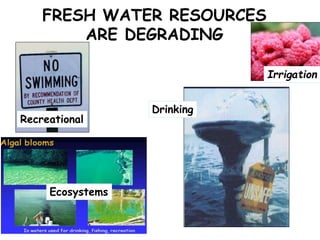 Risk assessment as a tool to improve water quality and the role of institutions of higher education