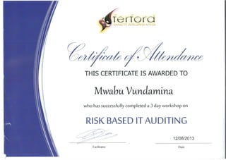 Risk based auditing