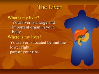 The Liver
What is my liver?
Your liver is a large and
important organ in your
body
Where is my liver?
Your liver is located behind the
lower right
part of your ribs

 