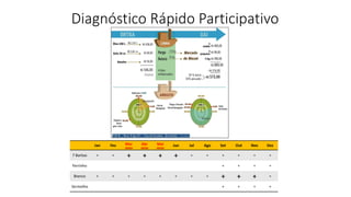 Diagnóstico Rápido Participativo
 