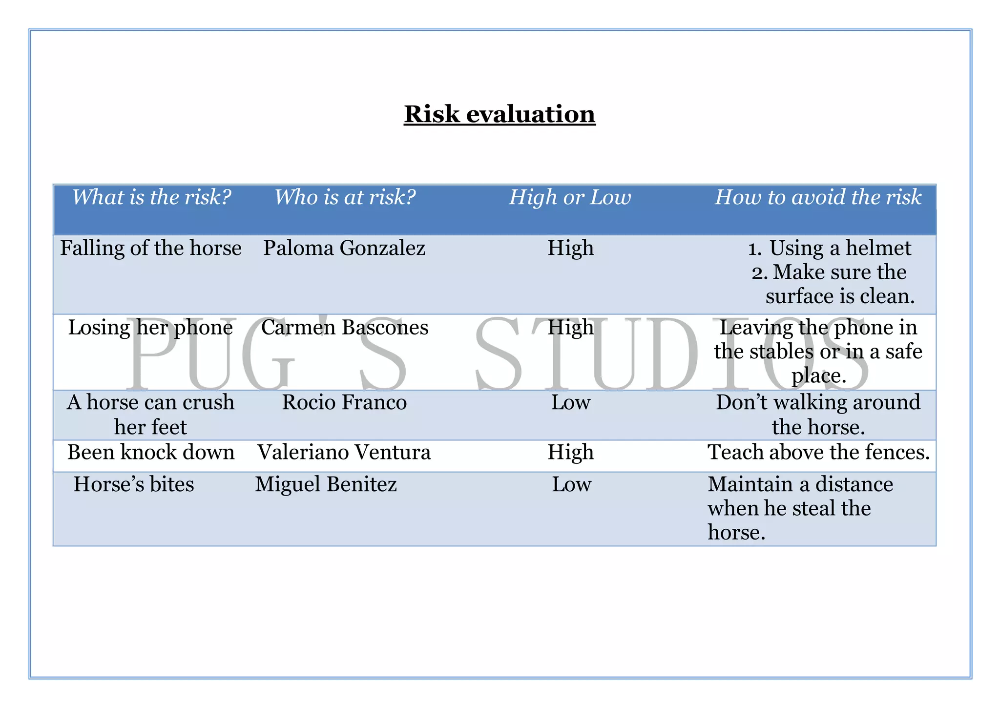 Risk evaluation | DOCX