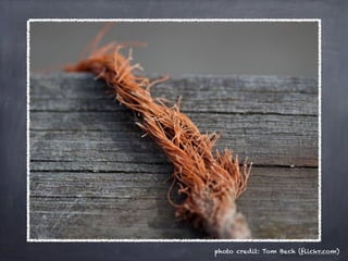 photo credit: Tom Bech (flickr.com)
 