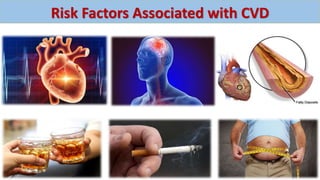 Risk Factors Associated with CVD
 